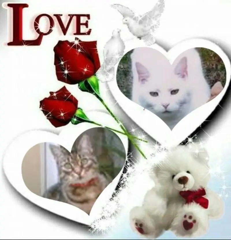 Andachtsbild von Sonntags❤️Rosen❤️❤️❤️❤️❤️❤️