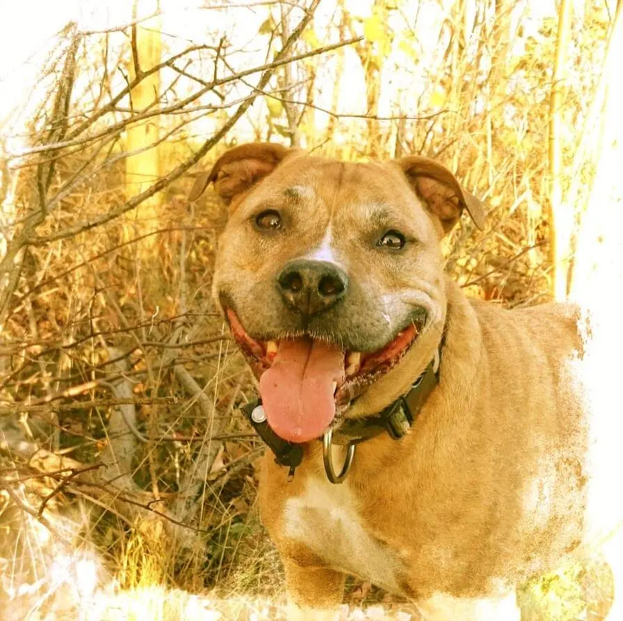 Condolence image of Peggy