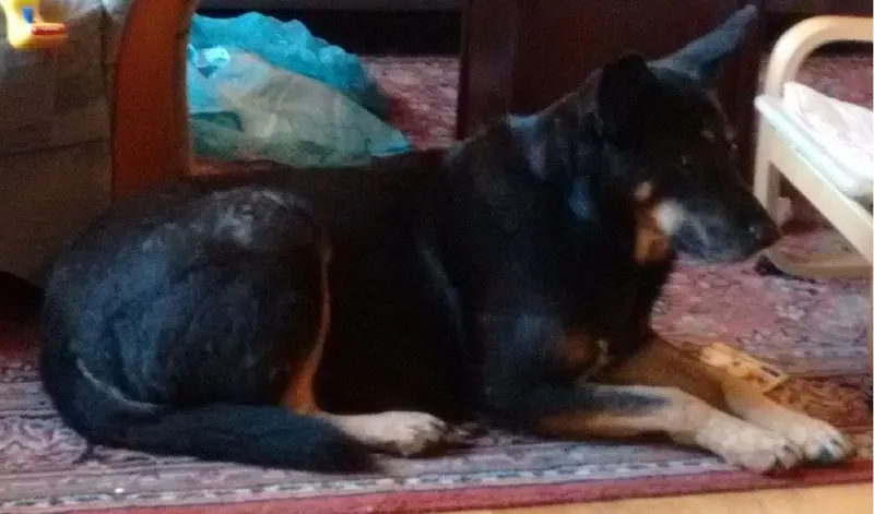Condolence image of Erik