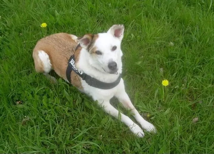 Condolence image of Britta