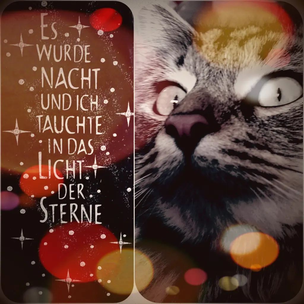 Image from Ole
