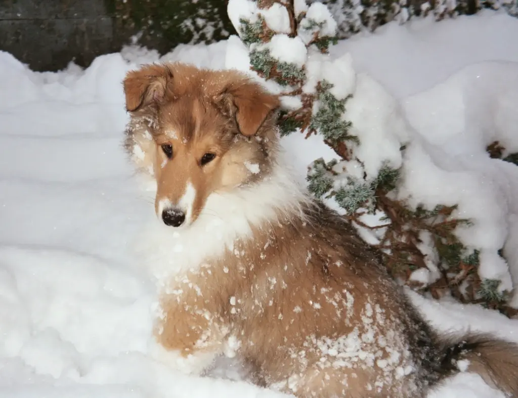 Image from Sahron