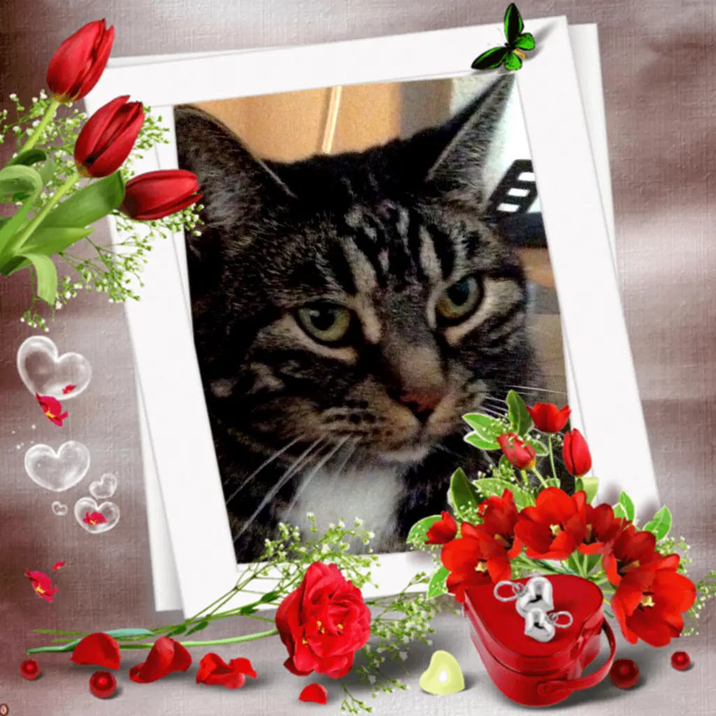 Image from Sandy