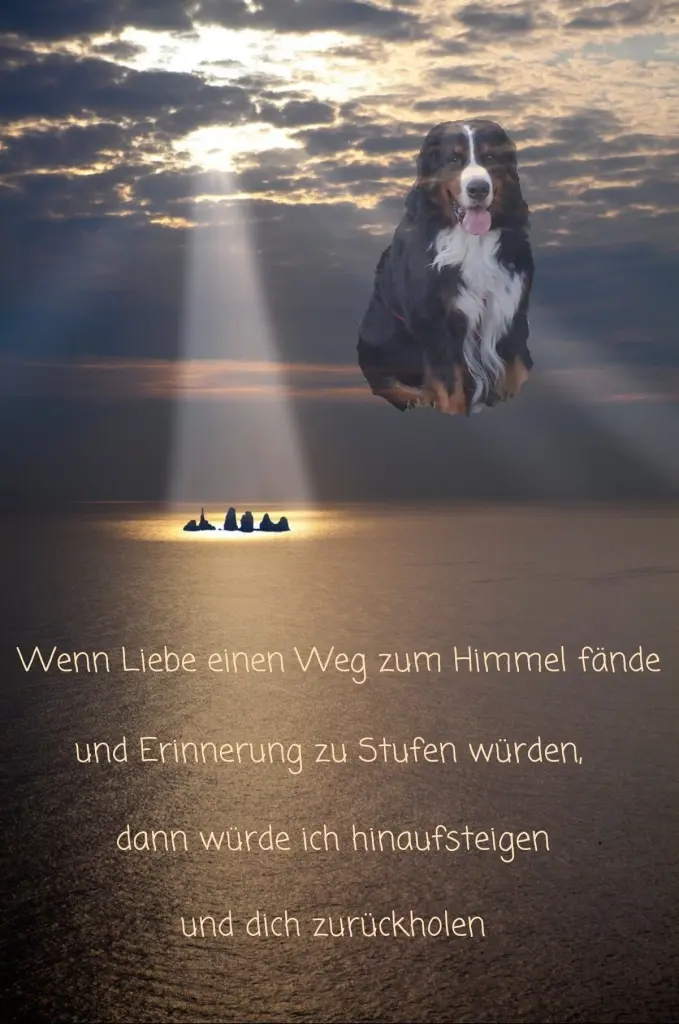 Condolence image of Edeltraud  Parusel 