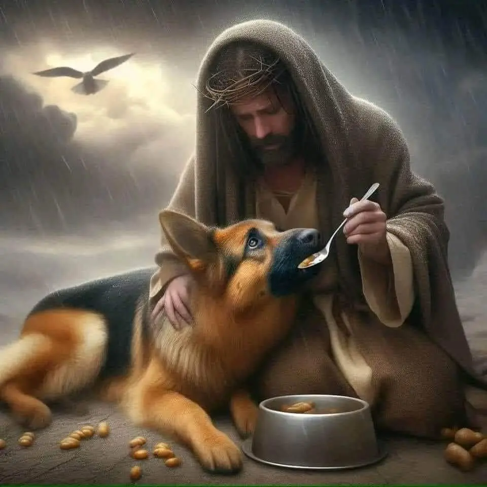 Condolence image of Edeltraud