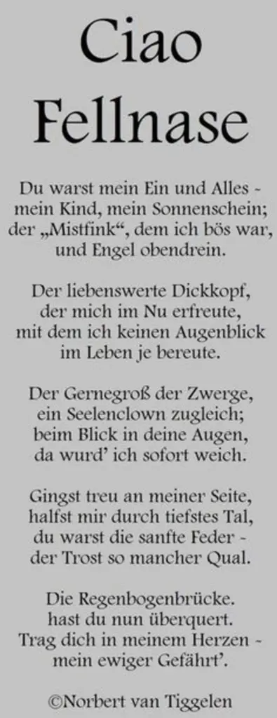 Condolence image of Katrin und Katzi im ❤️