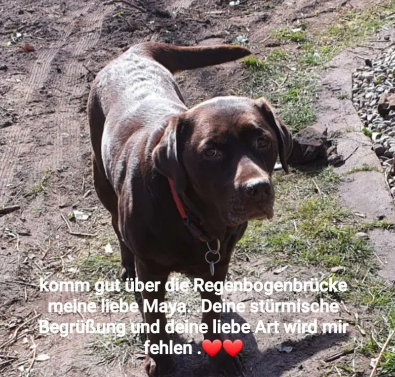 Andachtsbild von Tanja