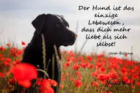 Andachtsbild von Silvia