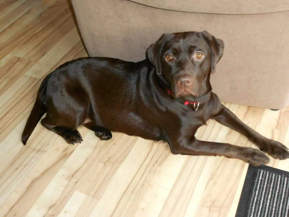 Andachtsbild von Silvia Cramer