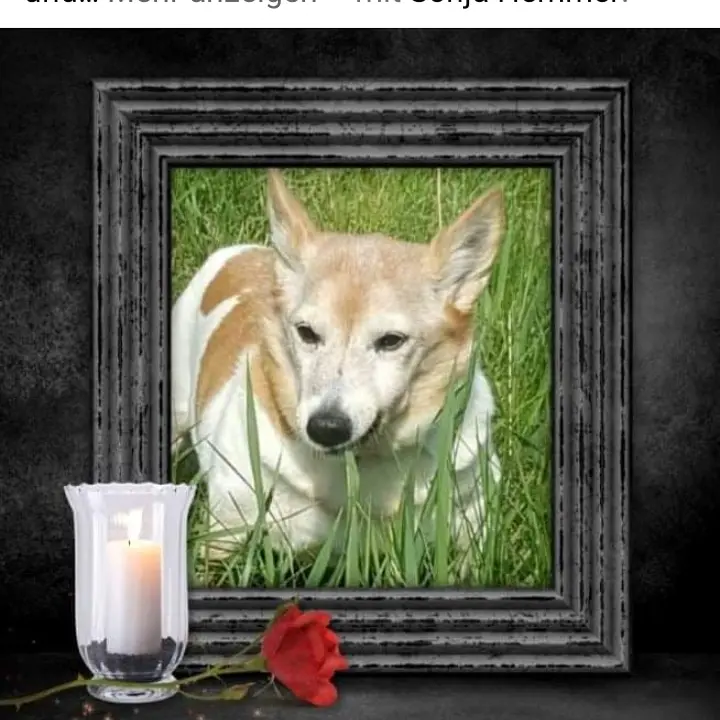 Image from Jacky