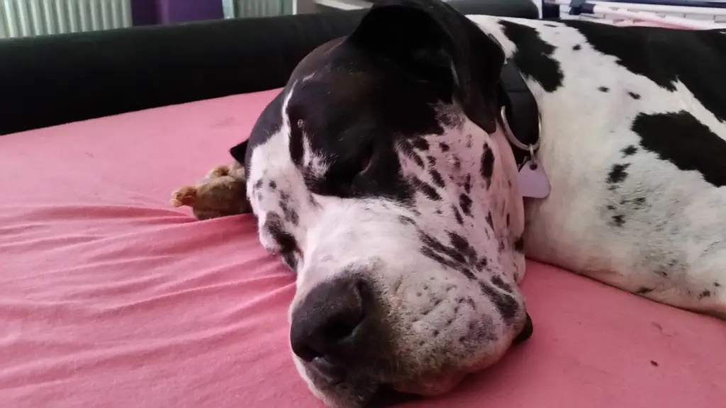 Andachtsbild von Daniela mit Sniper im Herzen