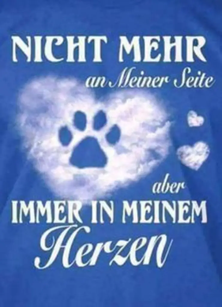 Condolence image of Gabi mit Max (gest. 20.11.2020)
