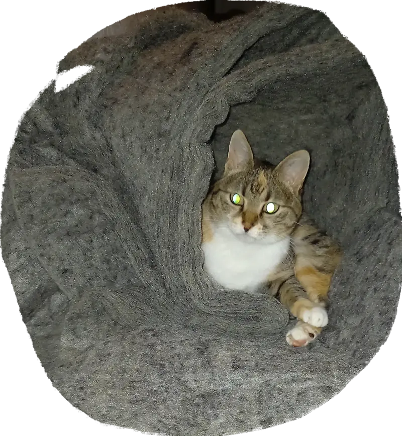 Condolence image of Sigrid