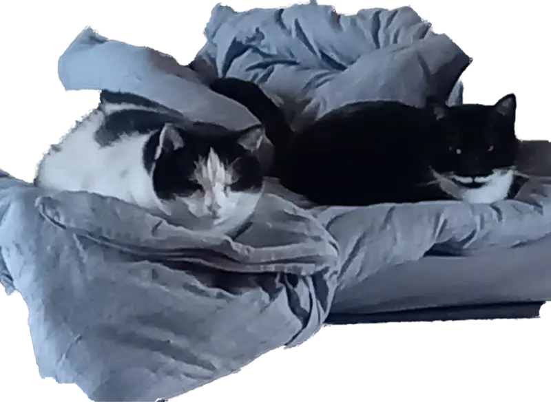 Condolence image of Luder und Dicker