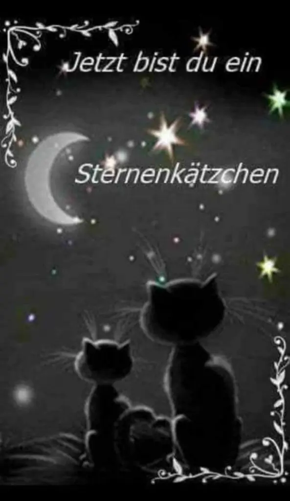 Condolence image of Sigrid
