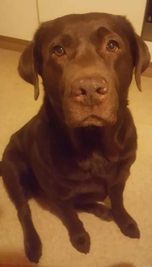 Andachtsbild von Bianka mit Ronja im Herz