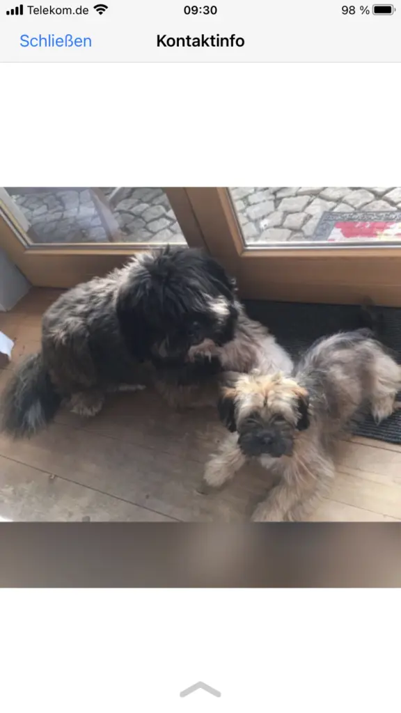 Condolence image of Heike mit Oskar im ❤️