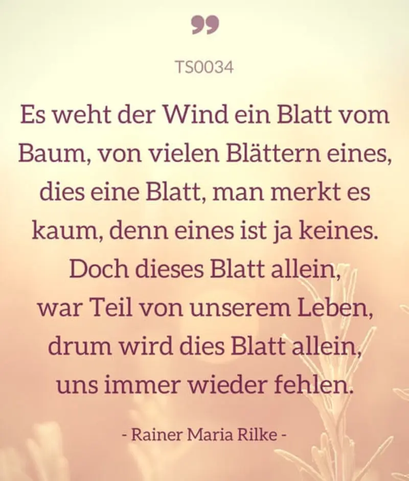 Condolence image of Katrin und Katzi im ❤️
