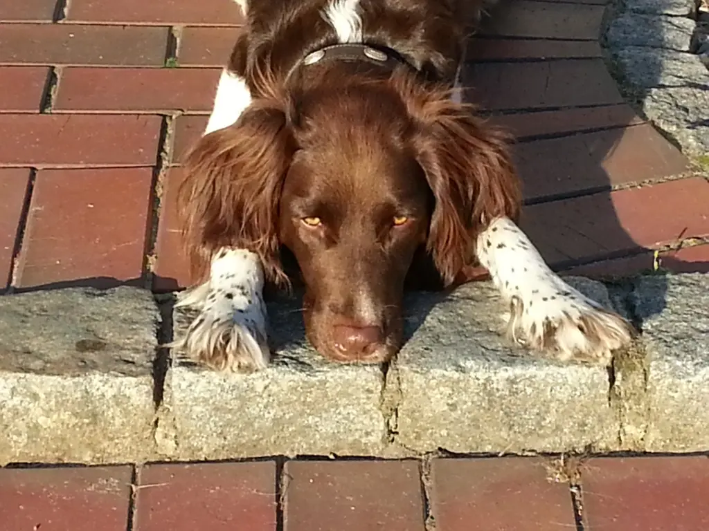 Image from Milow