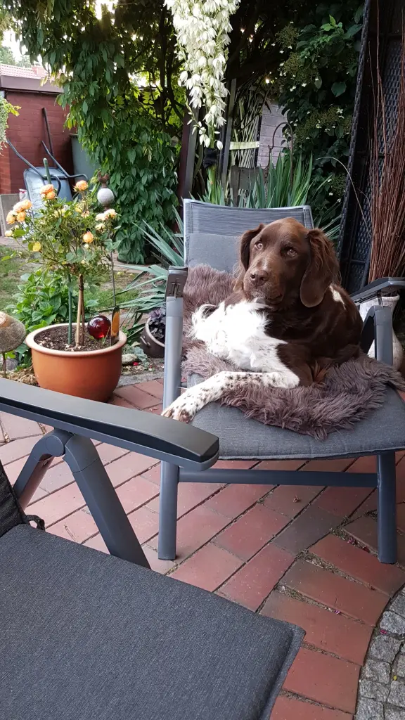 Image from Milow