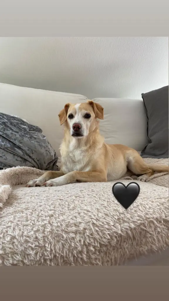 Image from Chico