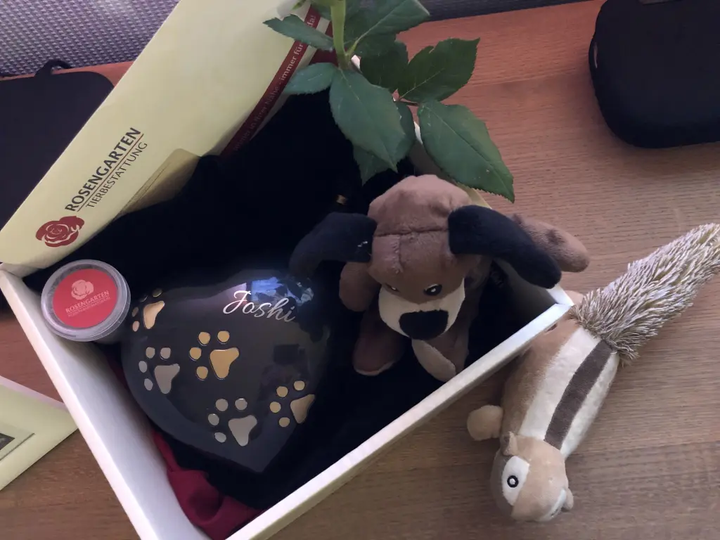 Image from Joshi