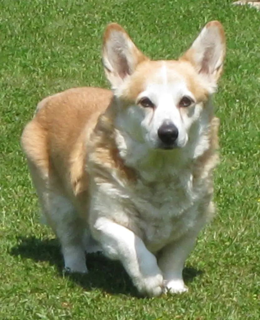 Image from Tucker