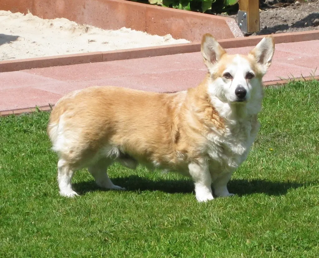 Image from Tucker