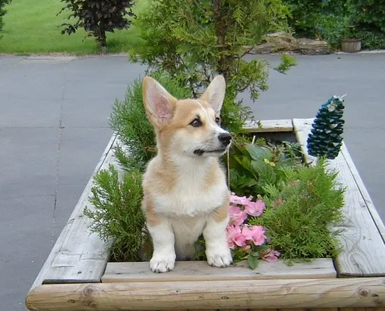 Image from Tucker