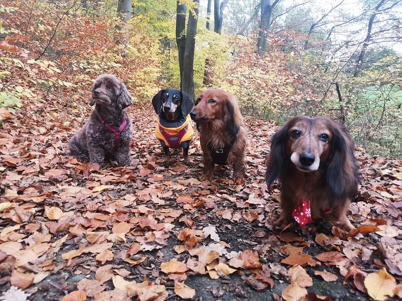 Andachtsbild von Angela Rogowski