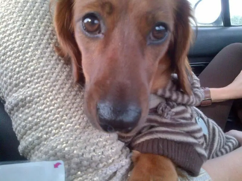 Andachtsbild von Skadi & Fränkie