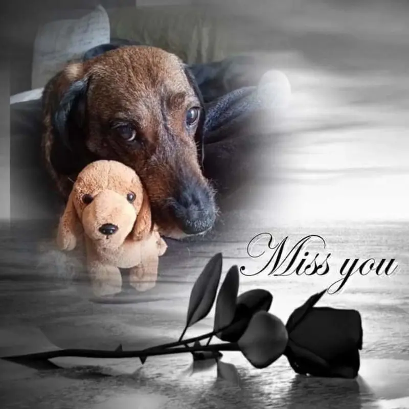 Andachtsbild von Nicole  Damen