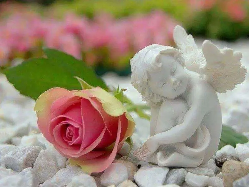 Andachtsbild von Iris & Arno ♥️