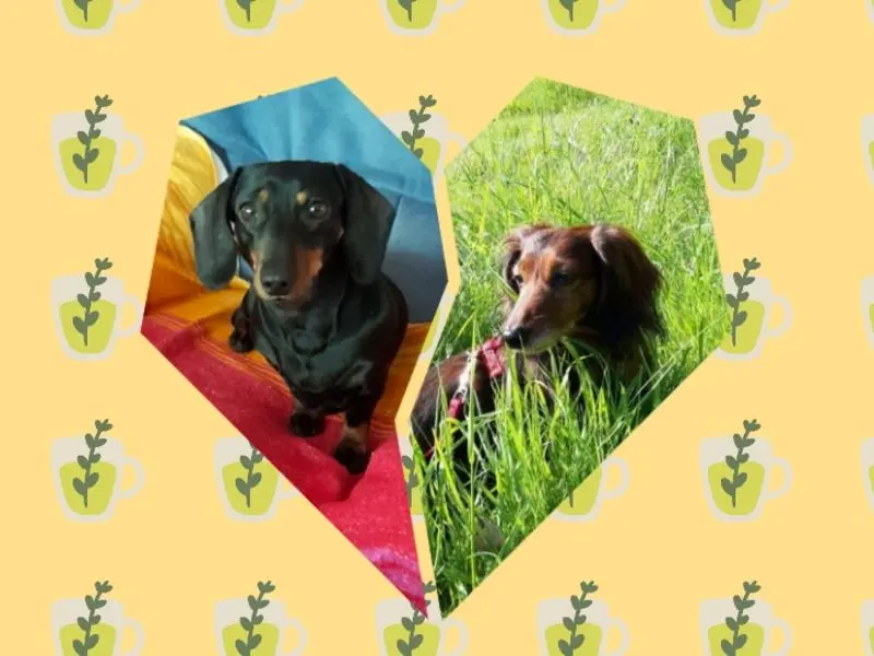 Andachtsbild von Iris, Arno & Sven