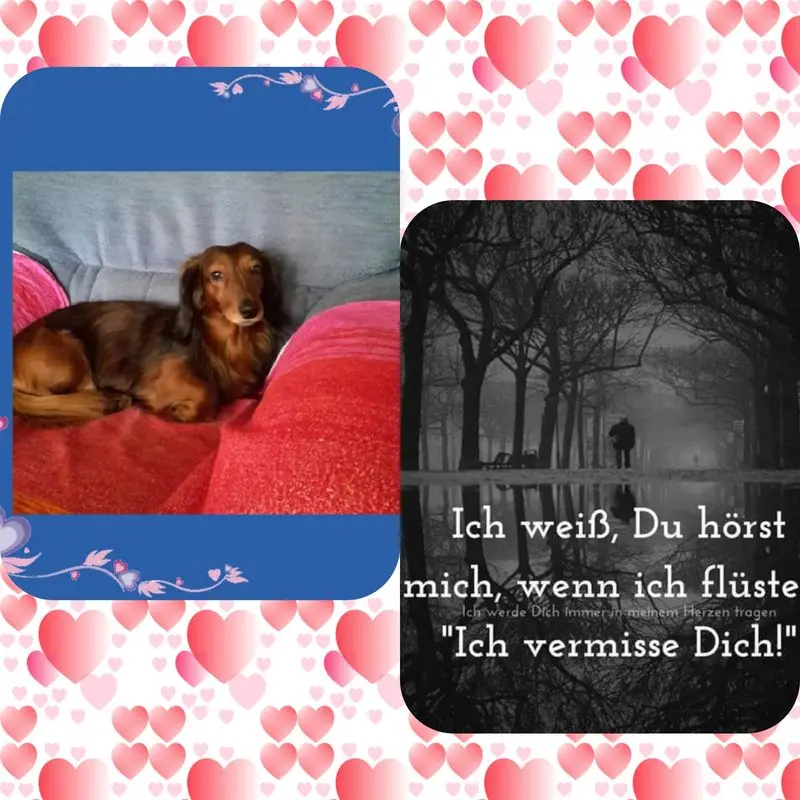 Andachtsbild von Iris, Arno & Sven und Candy an unserer Seite