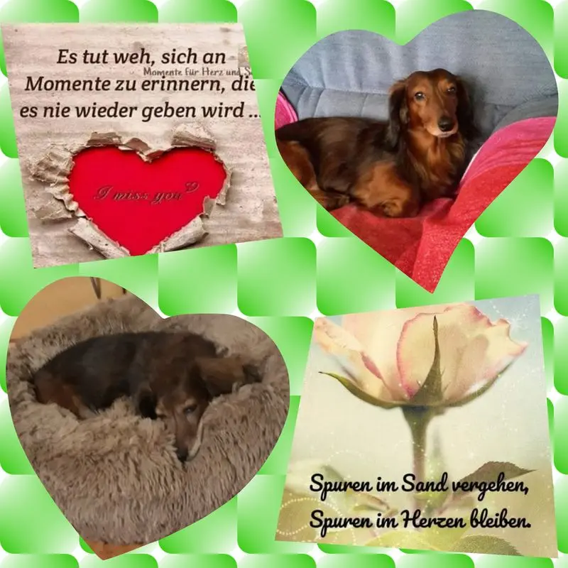 Andachtsbild von Iris, Arno & Sven 