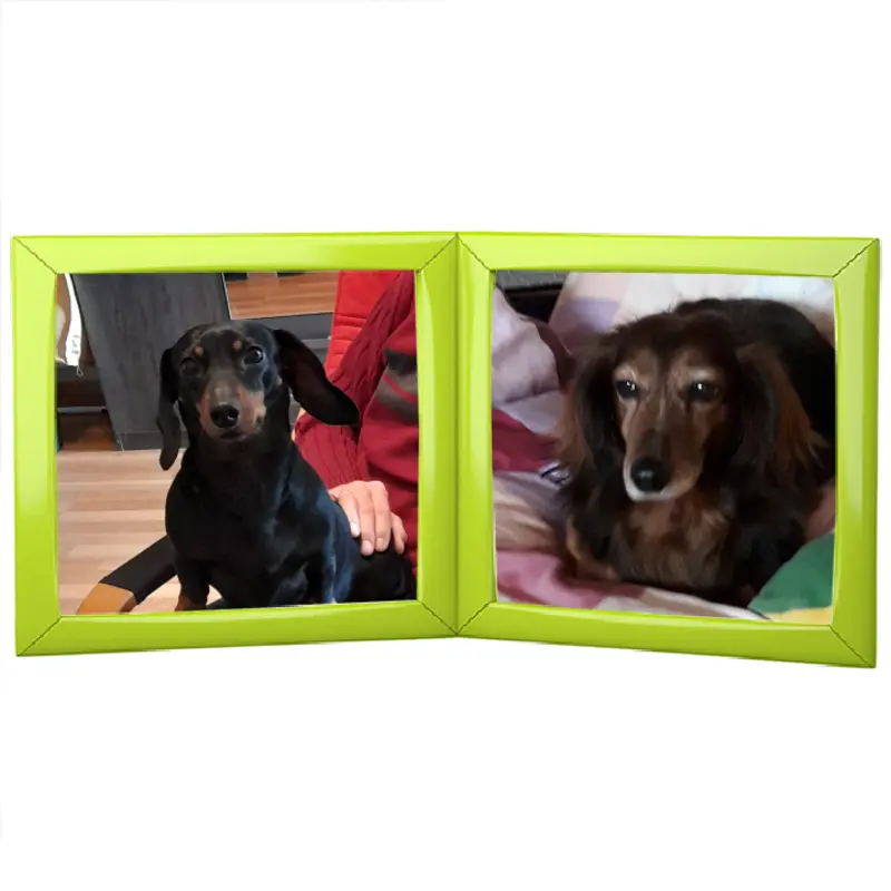 Andachtsbild von Iris