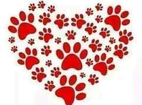 Andachtsbild von Iris, Arno & Sven❤