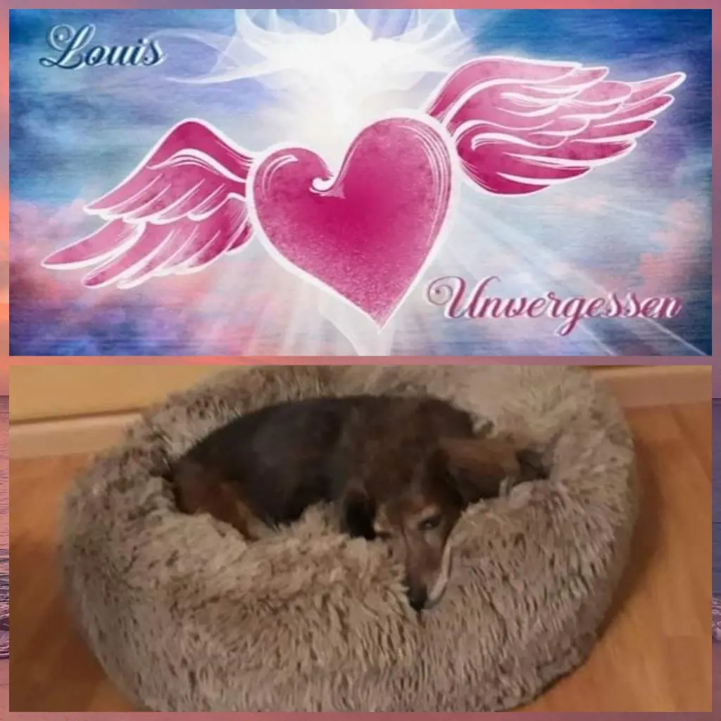 Andachtsbild von Iris, Arno & Sven❤