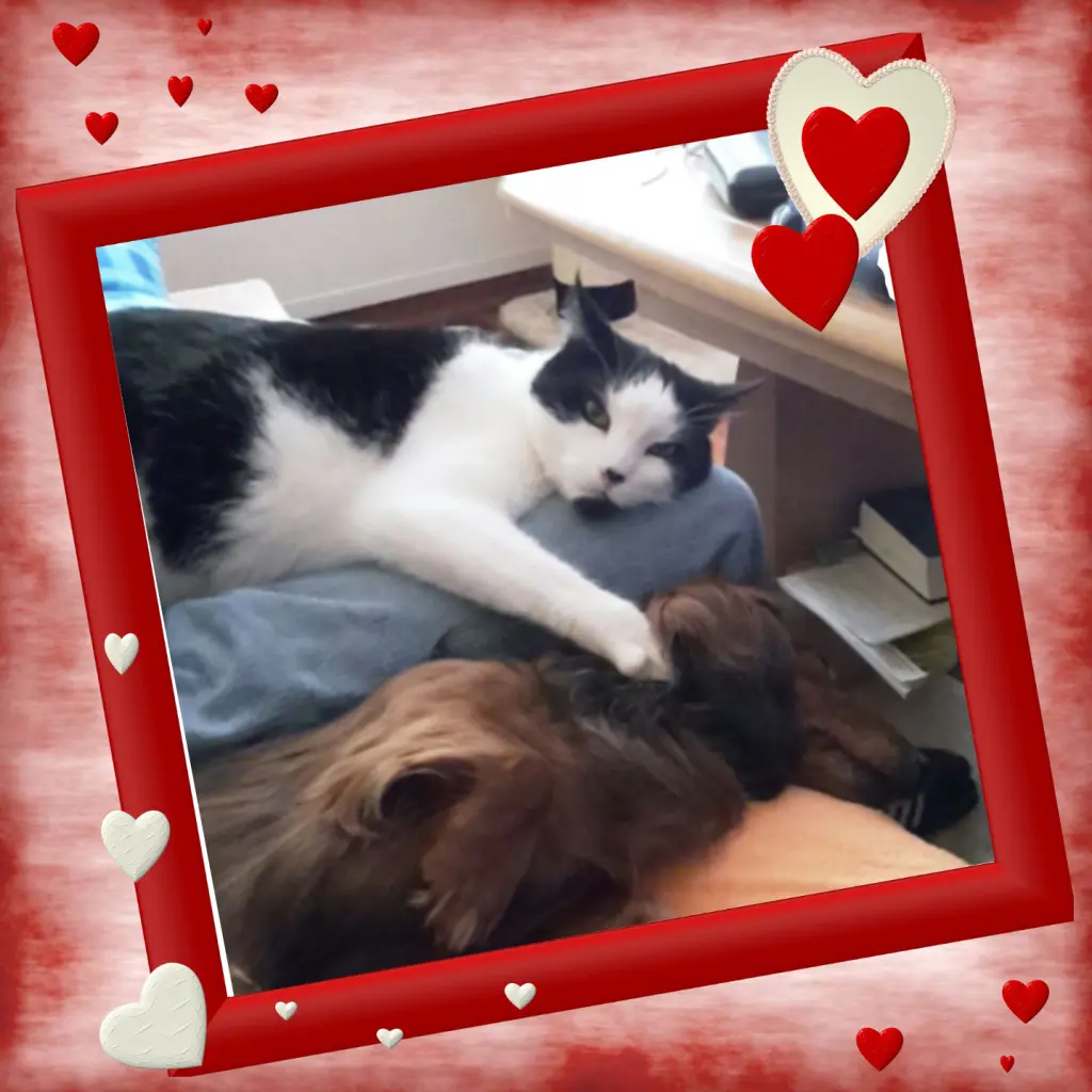 Andachtsbild von Iris, Arno & Sven❤