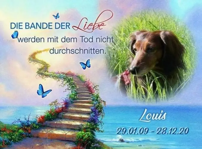 Andachtsbild von Iris ❤️