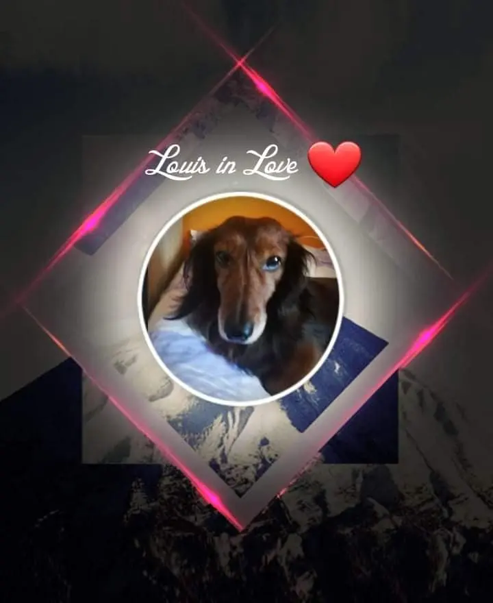 Andachtsbild von Iris, Arno & Sven❤