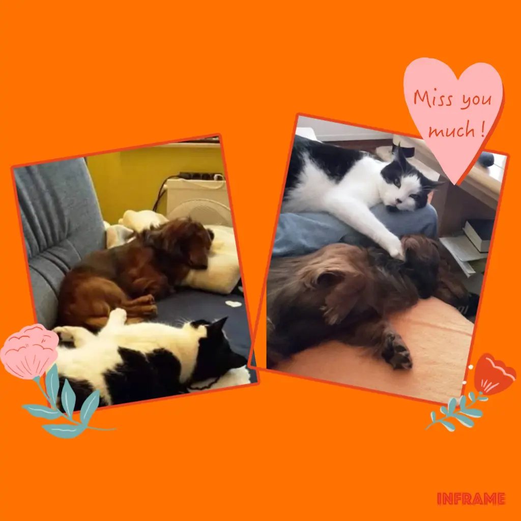 Andachtsbild von Iris, Arno und Sven ❤️