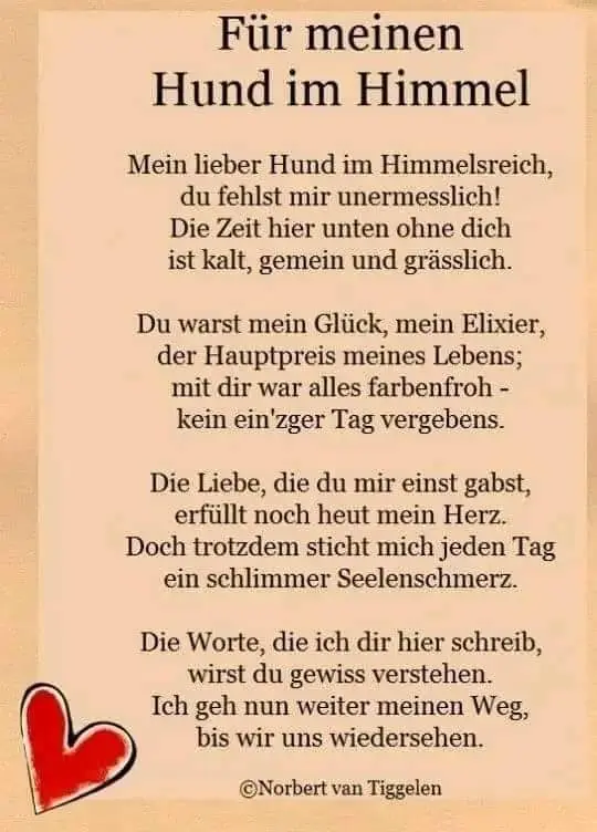 Andachtsbild von Iris ❤️❤️