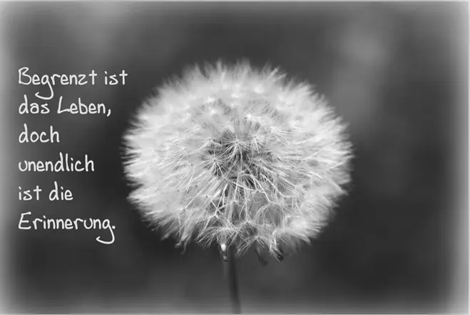 Andachtsbild von Für Louis