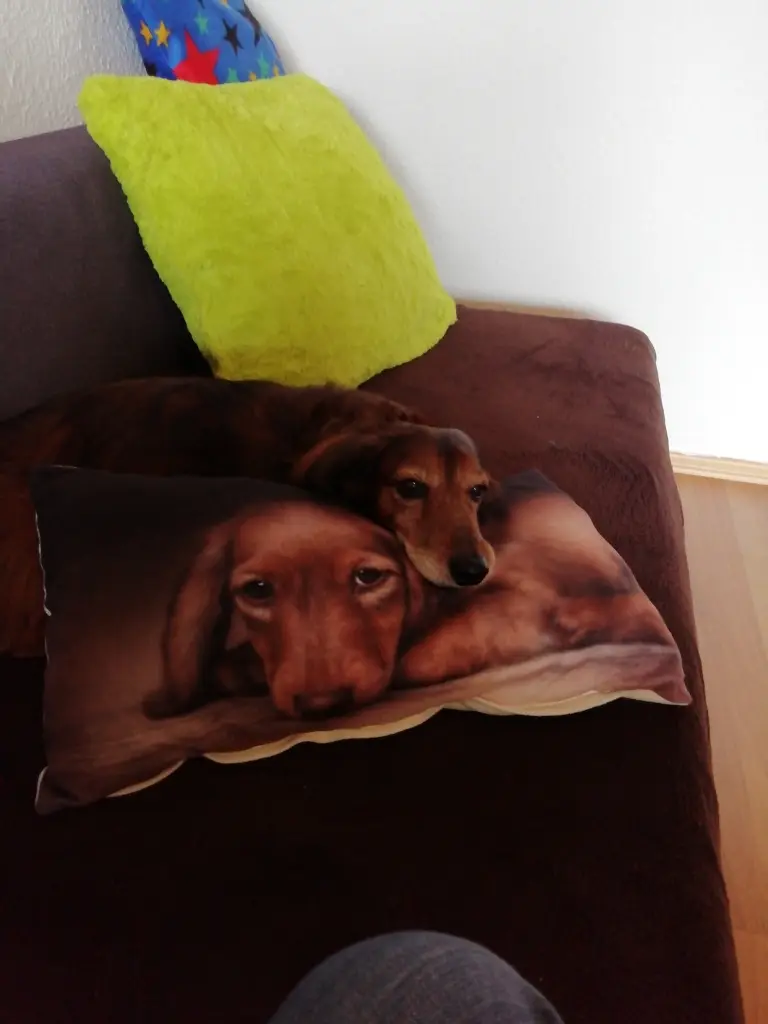 Andachtsbild von Sven  Pohlmann