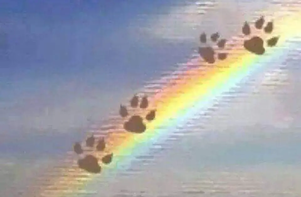 Andachtsbild von Ina Erberich