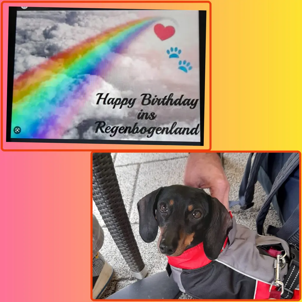 Andachtsbild von Iris ❤️❤️