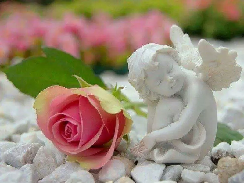 Andachtsbild von Iris, Arno und Sven ❤️❤️❤️