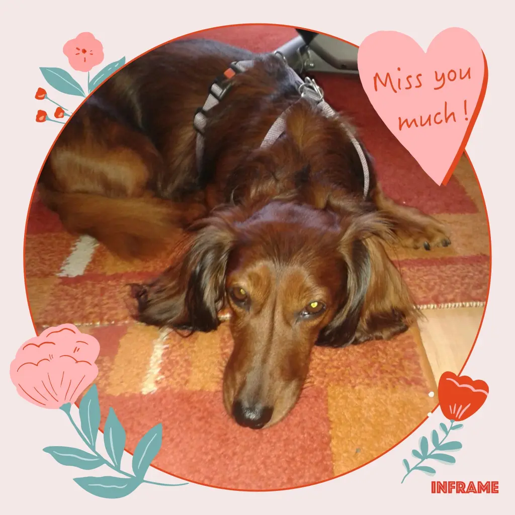 Andachtsbild von Iris, Arno und Sven ❤️❤️❤️